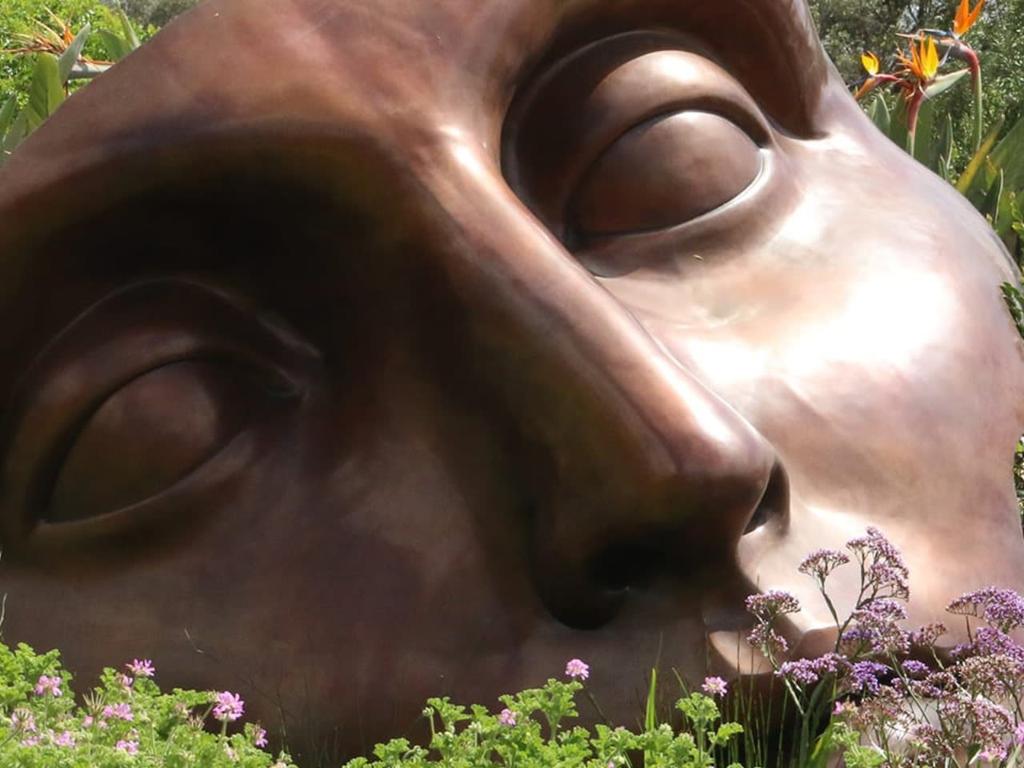 Philosophy Course: The Philosophy of Human Nature 2025 | What's on in Sydney