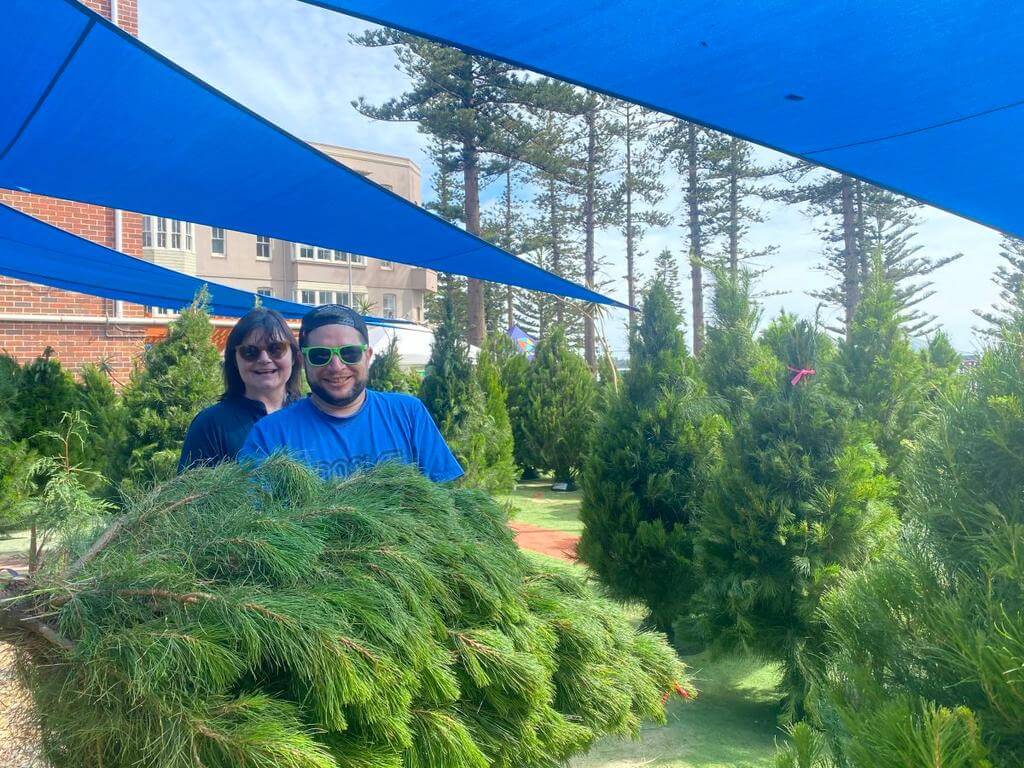 Pick A Tree Christmas Tree Sale at Tramsheds, Glebe 2022 What's on