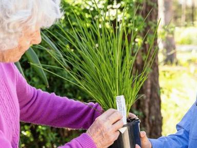 Brisbane City Council's Free Native Plants program offers residential ratepayers and tenants two free native plants each...