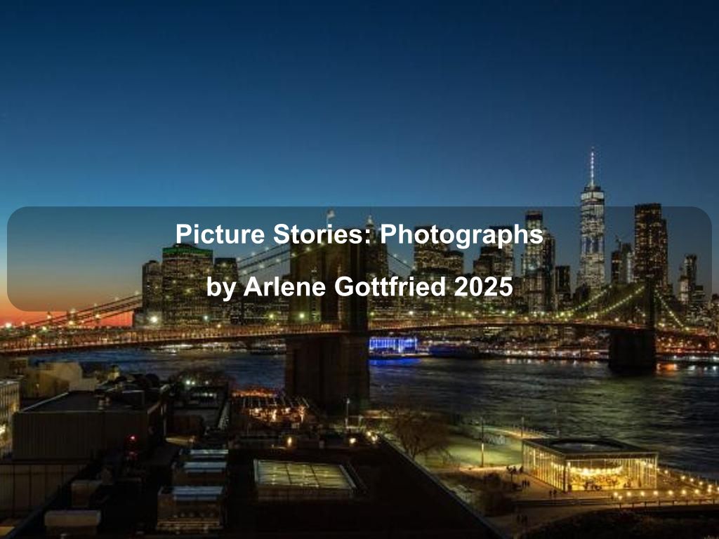 Picture Stories: Photographs by Arlene Gottfried 2025 | What's on in Manhattan NY Picture Stories: Photographs by Arlene Gottfried 2025 | What's on in Manhattan NY