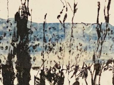 Pine Street Printmakers are an eclectic group of artists who previously attended or taught on various print workshops at...
