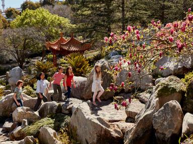 Bring the kids to the Chinese Garden of Friendship these school holidays to learn all about the Garden's many plants and...
