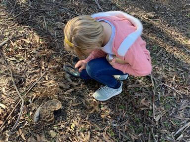 Have you ever wondered about the native animals who share your property? Being a Wildlife detective involves using your ...