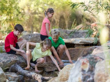 Pop Ups in the Park are fun Nature-based activities for everyone.  This April school holidays we will be popping into so...