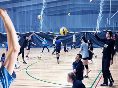 Fast track your child's volleyball skills with our volleyball campsThe ProVolley Holiday Camp features a three-day volle...