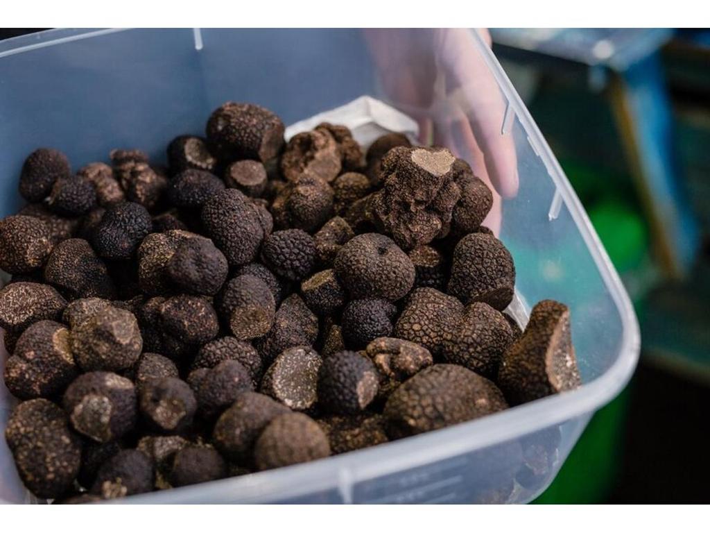Queen Vic Market Ultimate Truffle Tour 2026 | What's on in Melbourne