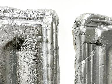 I didn't expect to live this long is an exhibition of large-scale sculpture and installation works that offers a persona... I didn't expect to live this long is an exhibition of large-scale sculpture and installation works that offers a persona...