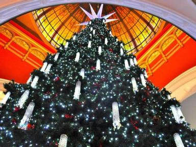 The Queen Victoria Building unveils its Swarovski Christmas tree