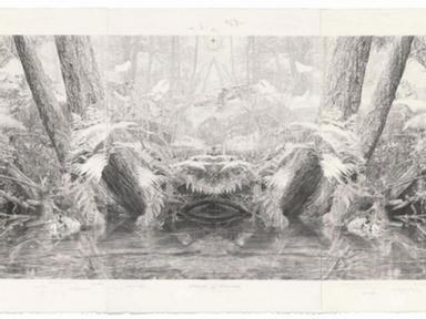 Real worlds Dobell Australian Drawing Biennial 2020 at Art Gallery of NSW
