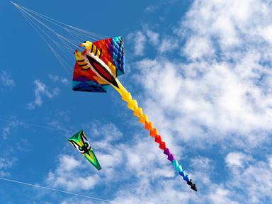 Get swept away with the fun- colour and excitement at the annual Redcliffe KiteFest.Boasting a family-friendly environme...