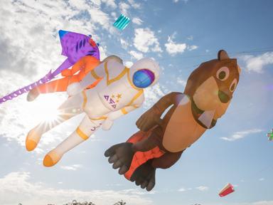 Get swept away with the fun, colour and excitement at the annual Redcliffe KiteFest. Boasting a family-friendly environm...