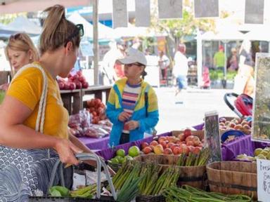 Set alongside the picturesque Redcliffe Peninsula, the Redcliffe Markets are an iconic seaside marke