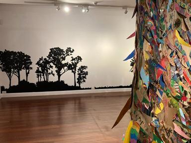 Regenerate is a communal creative exploration of the way Australian bushland responds to fire, in particular the regener...