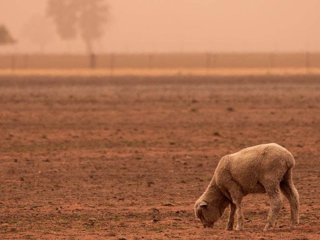 Reimagining Environmental Responsibility 2022 | What's on in Sydney