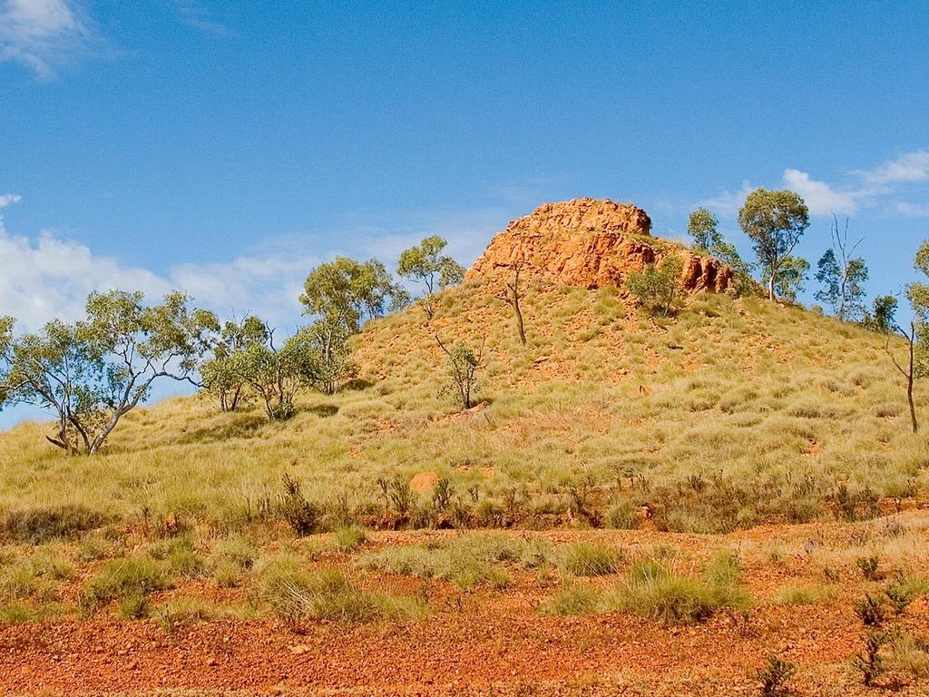 Revealing Riversleigh 2025 | What's on in Kensington