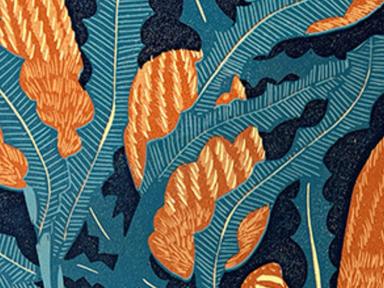 Revisiting Beauty is a celebration of the native flora found close to home - an ode to the banksias, gum blossoms, and w...