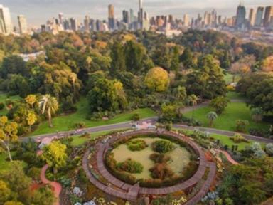 Engage with the Royal Botanic Gardens, from the comfort of your own home. They'll be sharing posts r