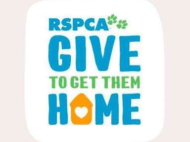 RSPCA Queensland is urging the community to dig deep and donate to its Give to Get Them Home appeal, Thursday, 6 October.
