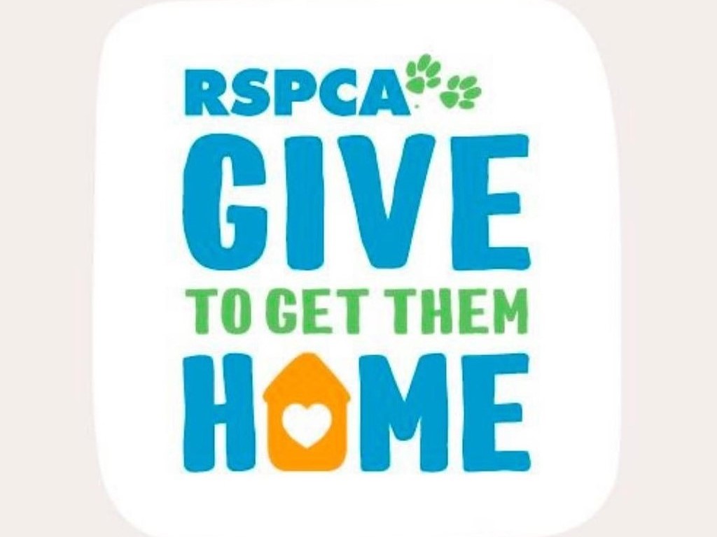 RSPCA Queenslands Give To Get Them Home Appeal 2022 | What's on in Brisbane