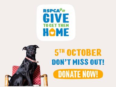 Donate to RSPCA Queensland's Give to Get Them Home appeal, on Thursday, 5 October.