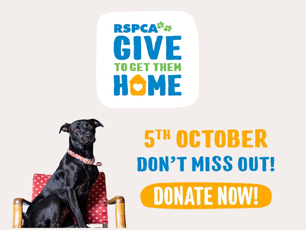 RSPCA Queenslands Give To Get Them Home Appeal Toowoomba 2023 | Toowoomba