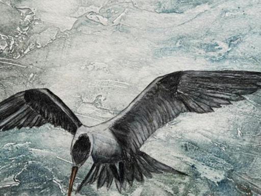 The Thumbprint Collective consists of thirteen artists who have captured the Limestone Coast's evolving landscape, ancie...