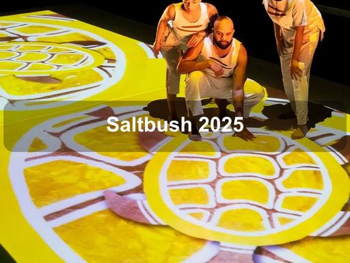 Saltbush is an extraordinary interactive performance designed to captivate young audiences while offering parents a chance to witness something truly special