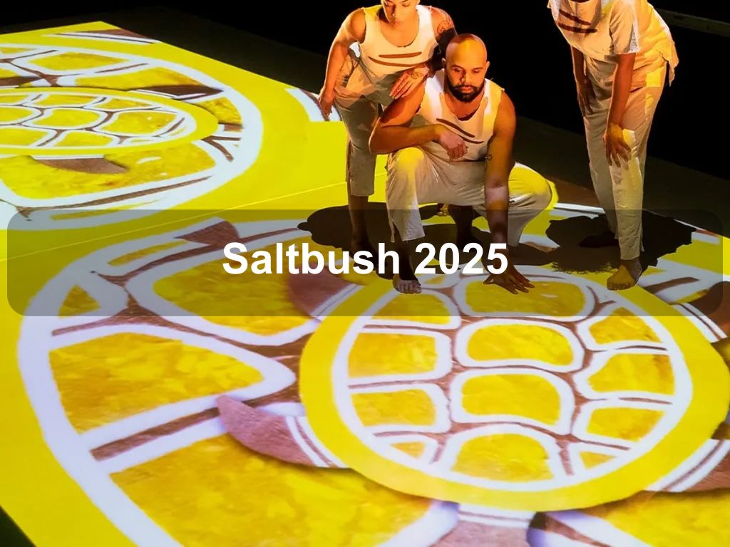 Saltbush 2025 | What's on in Canberra