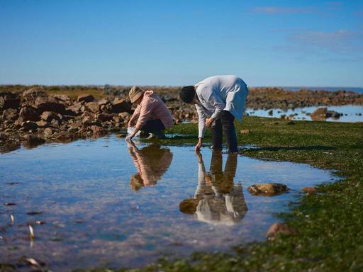 Saltbush Country provides a rare opportunity for audiences across regional South Australia to experience the works and w...