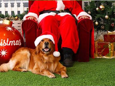 Bark! The Herald Angels will sing this Christmas when Santa Claus visits Pan Pacific Perth for a one-day only pet photography event.