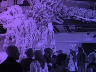 Melbourne Museum are keeping their doors open until 9pm on select Saturday nights, inviting you to curate your very own ...