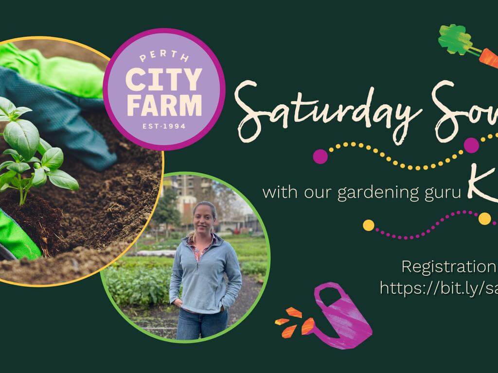 Saturday Sowing with our Gardening Guru! 2022 | Perth