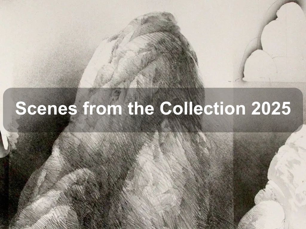Scenes from the Collection 2025 | What's on in Acton Scenes from the Collection 2025 | What's on in Acton
