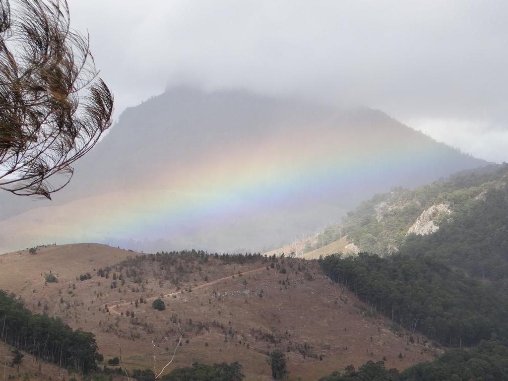 Scenic Rim Trail Running Series Round 4 2021 | What's on in Wyaralong