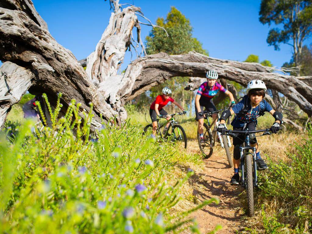 School Holiday Mountain Bike Skills Clinic - O'Halloran Hill 2023 | What's on in Ohalloran Hill