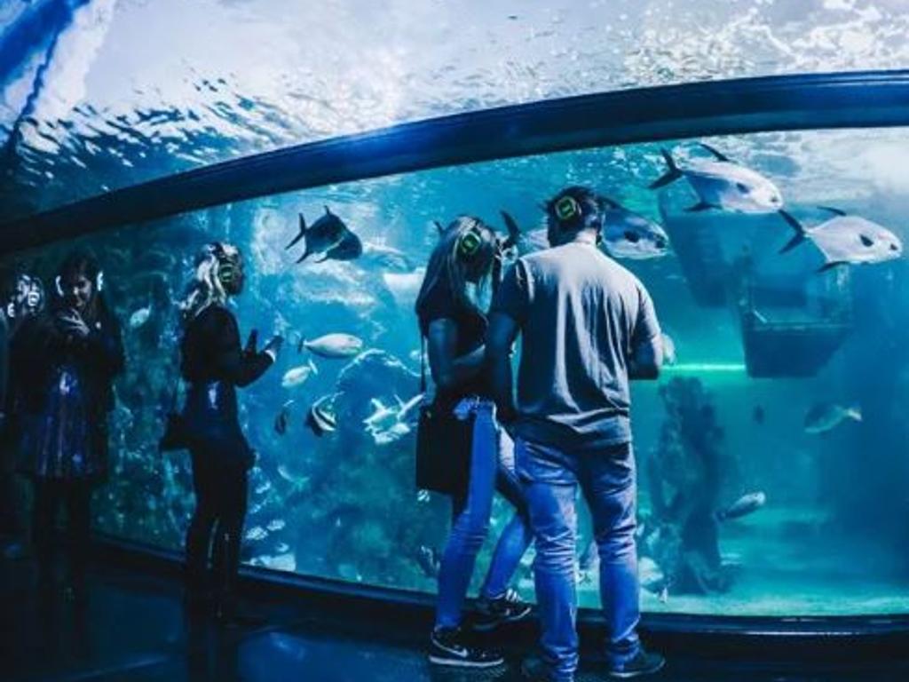 Sea Live Myths And Legends Silent Disco At Sea Life Sydney Aquarium 2023 | What's on in Darling Harbour