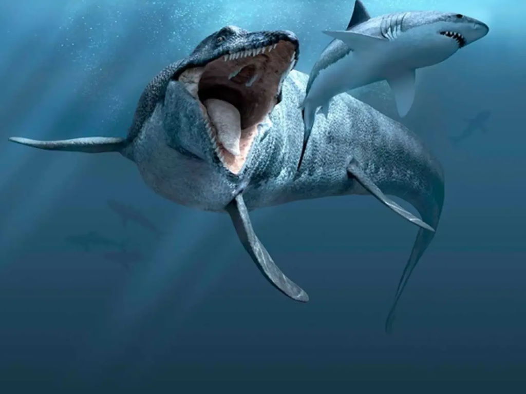 Sea Monsters Prehistoric Ocean Predators 2020 | Sydney