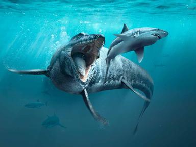 Sea Monsters: Prehistoric Ocean Predators 2022