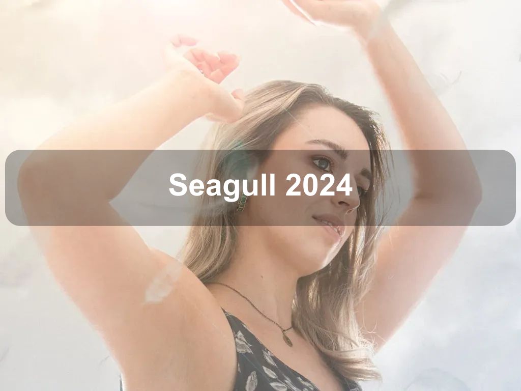 Seagull 2024 | Kingston
