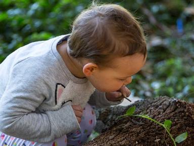 Join experienced Early Years Nature Educators from the Garden who will facilitate play-based activities and nature exper...