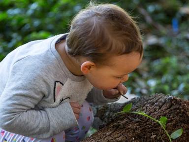Join experienced early years nature educators from the Garden who will facilitate play-based activities and nature exper...