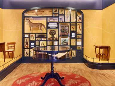 Join exhibition co-Curator, Dr Penny Stannard for a special tour of the exhibition Seeing Sydney, Knowing Country.Seeing...