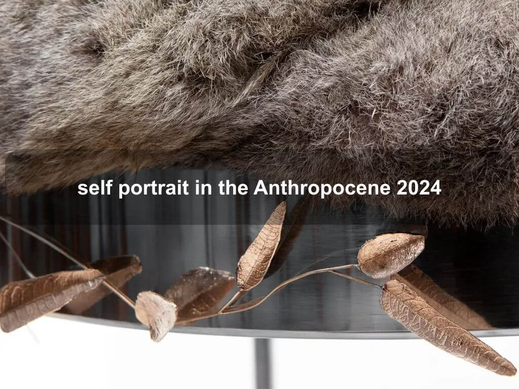 self portrait in the Anthropocene 2024 | What's on in Canberra