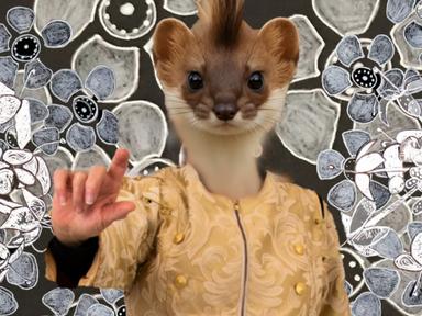 An exhibition all about recycling and sustainability in fashion.Come celebrate the end of days through photography and c... An exhibition all about recycling and sustainability in fashion.Come celebrate the end of days through photography and c...