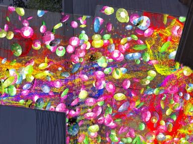 SHINE invites everybody to express and celebrate diversity in the light garden at Merivale.Ash Street is transformed int...