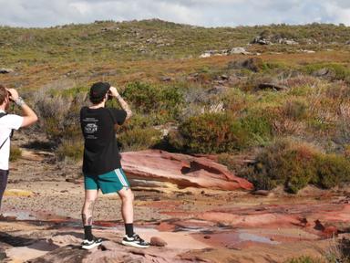 Get ready for an exhilarating shorter day tour of discovery as we explore Sydney's diverse landscapes, venturing through... Get ready for an exhilarating shorter day tour of discovery as we explore Sydney's diverse landscapes, venturing through...