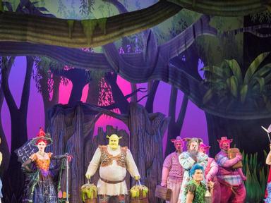The lavish multi-million dollar musical- Shrek The Musical- based on the Oscar®-winning DreamWorks film- brings the hila...