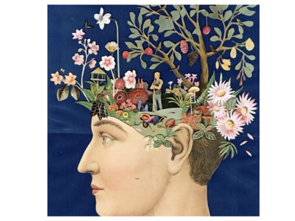 Silent Retreat Blue Mountains 2025 | What's on in Katoomba