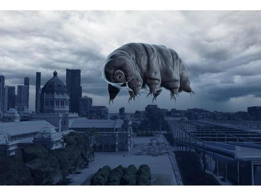 Tardigrades are living organisms capable of resisting extreme temperatures of cold and heat. They survive in space, can ...