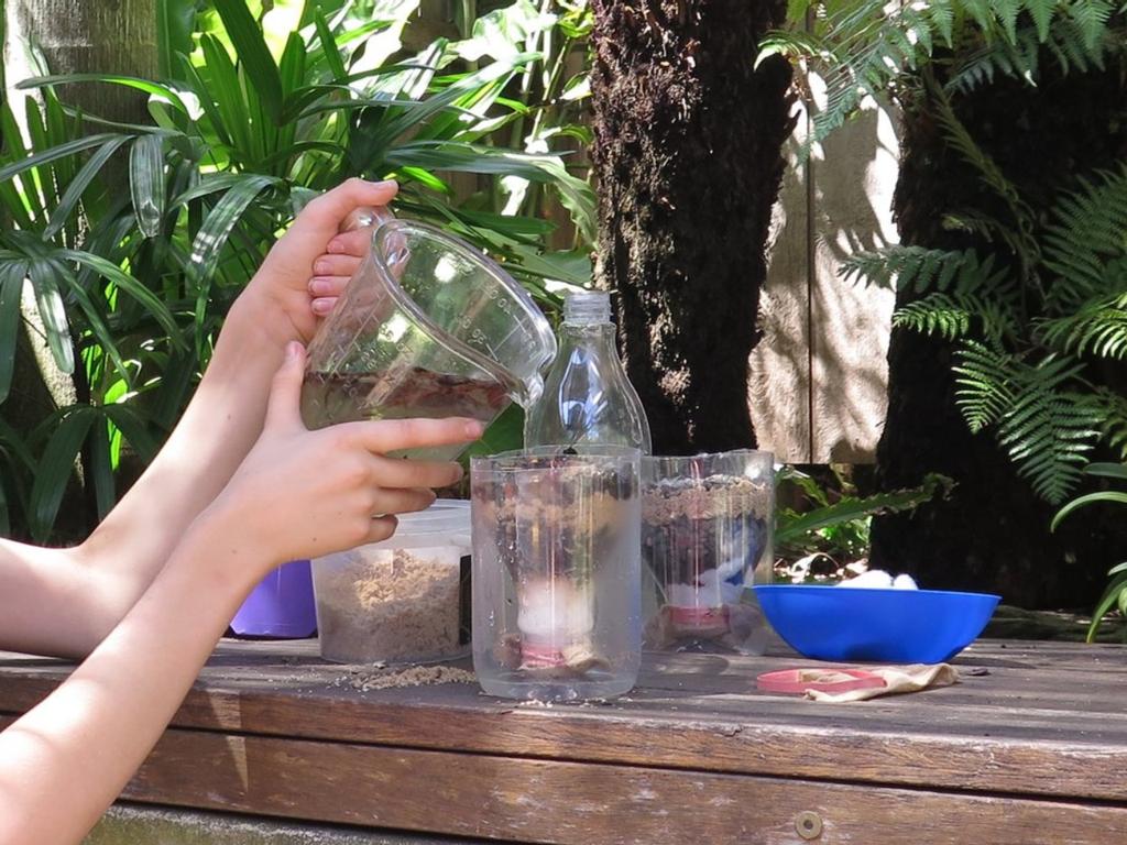 Snack-size Science: Create Your Own Water Filter 2021 | What's on in Sydney